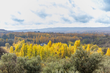 Fototapeta premium Madrid area known as the Ponton de la Oliva where there is an abandoned and disused reservoir since 1880