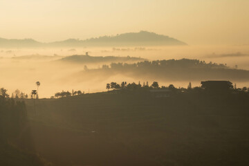 morning mist on the river