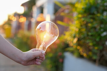 Light bulbs that grow, in the concept of energy in nature.