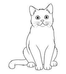 British Shorthair Cat Cartoon Animal Illustration BW