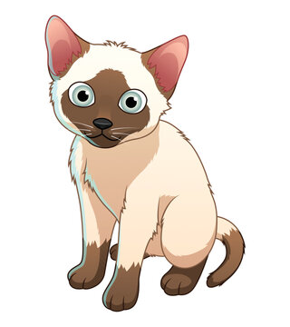 Little Siamese Cat Cartoon Animal Illustration