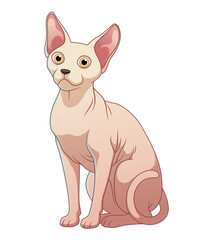 Sphynx Cat Cartoon Animal Illustration