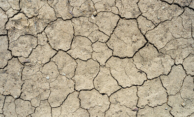 Brown dry soil or desert cracked ground texture background,land arid earth warming.
