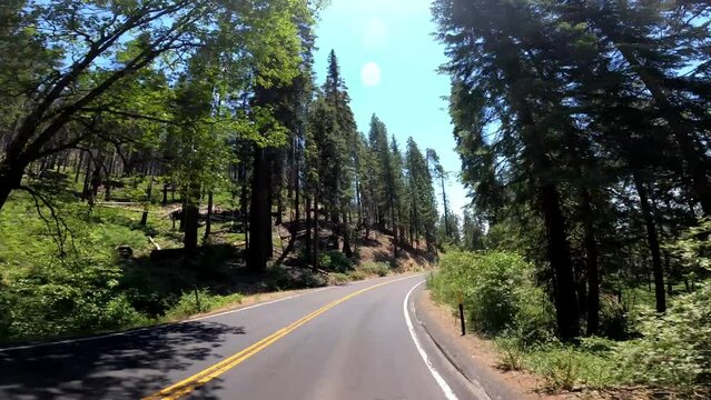 Yosemite 124 California Driving POV Road National Park