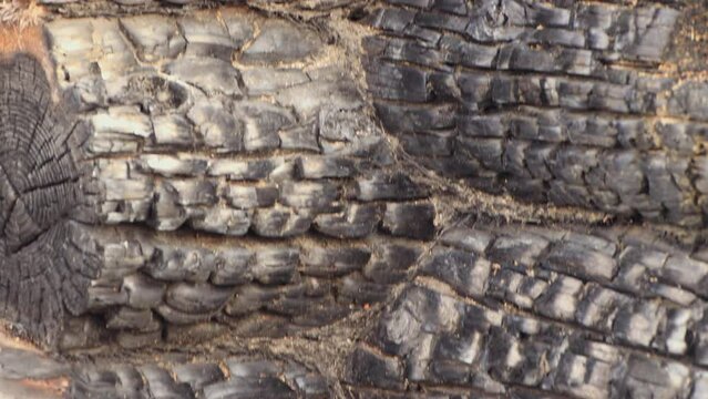 Close-up of charred logs, the remains of a burned-out rural house. An abandoned wooden building, a consequence of the war, bombing, rocket attacks. Ruins, people in evacuation. UHD 4K.