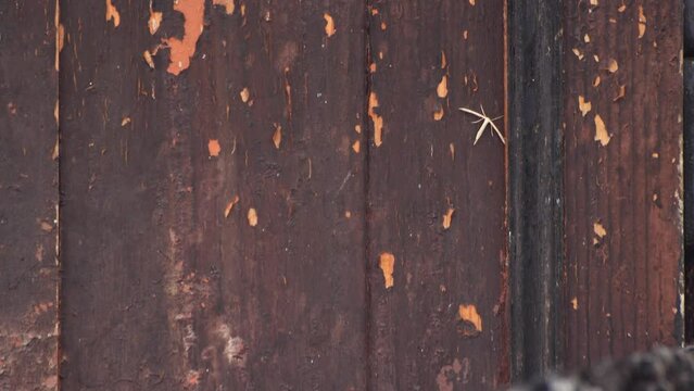 A shabby wooden wall, the remains of a destroyed rural house. Abandoned building, aftermath of war, bombing or missile strikes, gloomy appearance. Old ruins are abandoned by people in evacuation. UHD