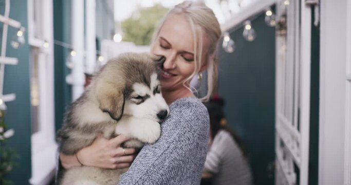 Dog, pet and adoption with a woman in an animal shelter for love, care or as a volunteer to help and foster. Dogs, homeless and charity with a female owner holding an adorable little puppy outdoor