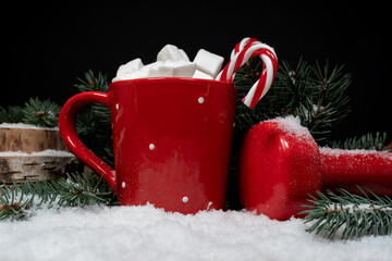 Hot chocolate or cocoa with marshmallows and candy canes, red dumbbell, Christmas tree branches on...