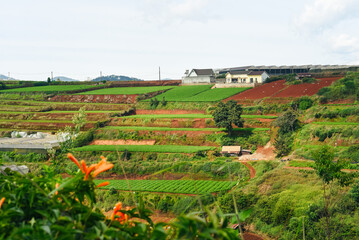 Fototapeta na wymiar Hills and plantations of Da Lat city in Vietnam