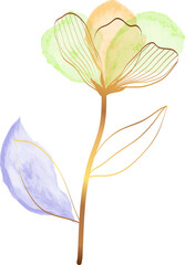 Watercolor flower gold line art