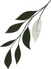 Green watercolor leaf branch illustration
