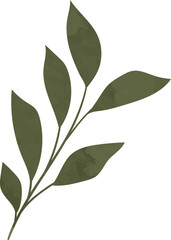 Green watercolor leaf branch illustration