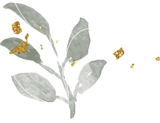 Watercolor leaf branch with gold illustration