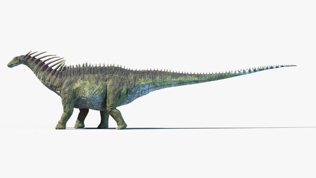 3D Rendered Animation of a walking Amargasaurus