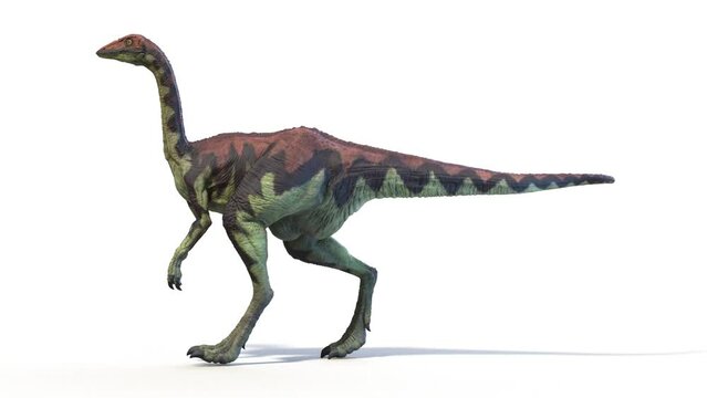 3D Rendered Animation of a walking Archaeornithomimus