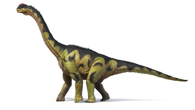 3D Rendered Animation of a walking Camarasaurus