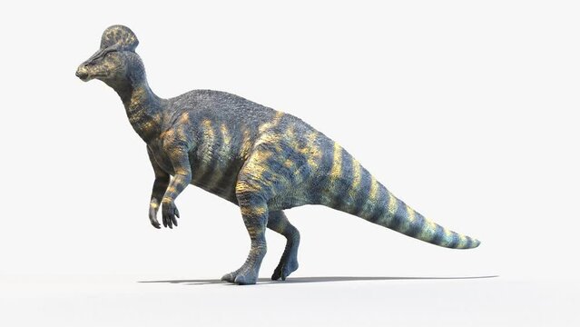 3D Rendered Animation of a walking Corythosaurus