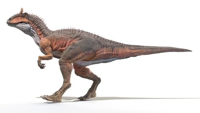 3D Rendered Animation of a walking Cryolophosaurus