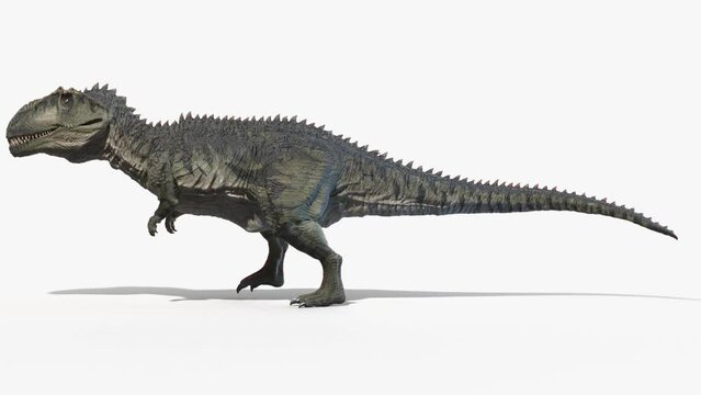 3D Rendered Animation of a Gigantosaurus walking