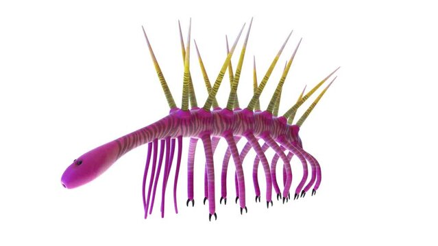 3D Rendered Animation of a Hallucigenia walking