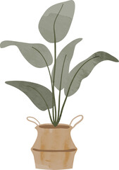 Potted plants watercolor illustration