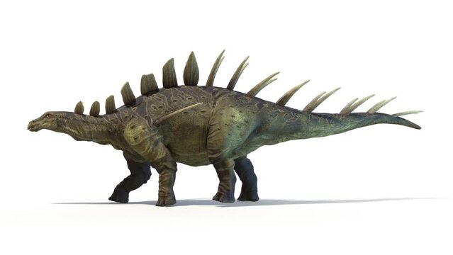 3D Rendered Animation of a Kentrosaurus walking