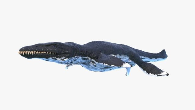 3D Rendered Animation of a Liopleurodon swimming
