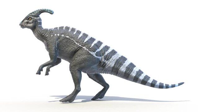 3D Rendered Animation of a Parasaurolophus walking