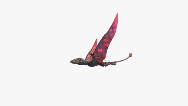 3D Rendered Animation of a Peteinosaurus flying
