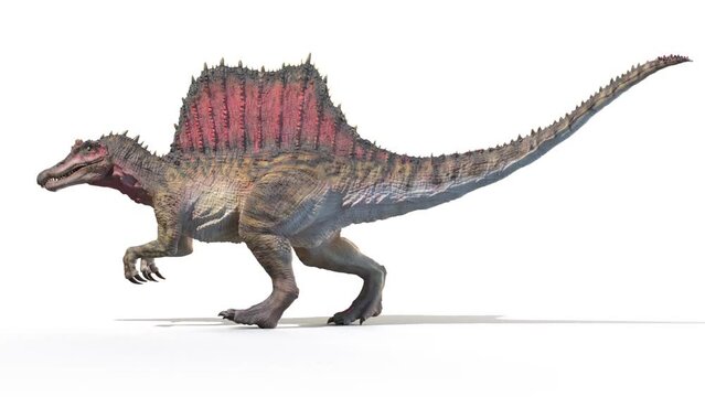 3D Rendered Animation of a Spinosaurus walking