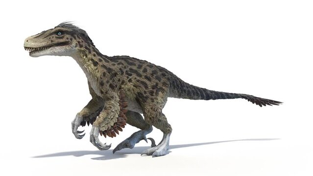 3D Rendered Animation of A Utahraptor walking