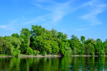Landscape with old green trees near Herastrau lake and large green trees in King Michael I Park (former Herastrau) in Bucharest, Romania, in a sunny spring day.
