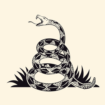 Dont tread on me flag. Rattlesnake illustration.
