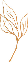 Watercolor leaf branch illustration