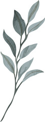 Watercolor leaf branch illustration