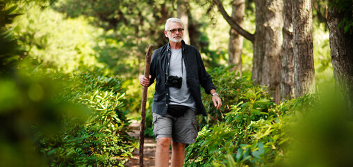 Active elderly man walks with a stick through the green forest, health route. Adventure is ageless.