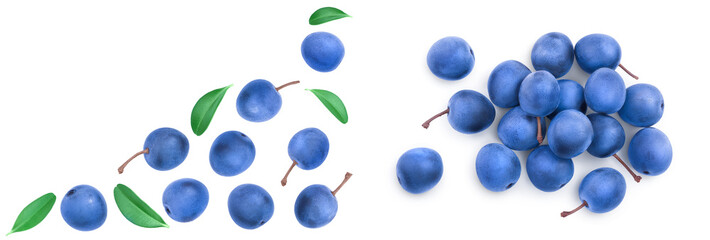 Blackthorn or Sloe berries with leaves isolated on white background with copy space for your text. Top view. Flat lay