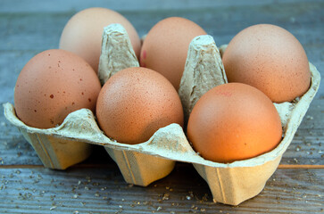 Six brown chicken eggs in box