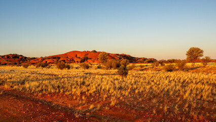 Evening light in the outback, Kulgera, Northern Territory, Australia