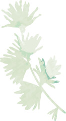 Watercolor flower branch illustration