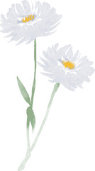 Watercolor flowers illustration