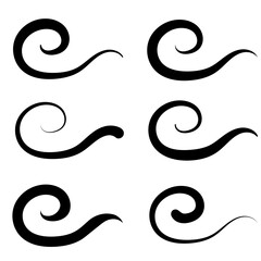 Swirl calligraphy element, flourish calligraphic line, design ornament script filigree