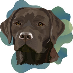 Chocolate Labrador Retriever. Portrait of a dog on a colored background. Vector illustration.