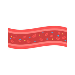 coronary arteries with accumulated fat in the body