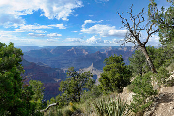 The Grand Canyon at sunset