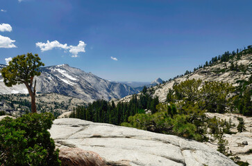 Yosemite national park in summer