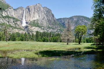 Yosemite national park in summer