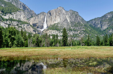 Yosemite national park in summer