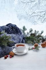 Tea cup, nuts, sweater, fir branches and frosty window. sweater weather, cozy home, comfort, relaxing concept. festive winter season. Christmas, New Year holidays background