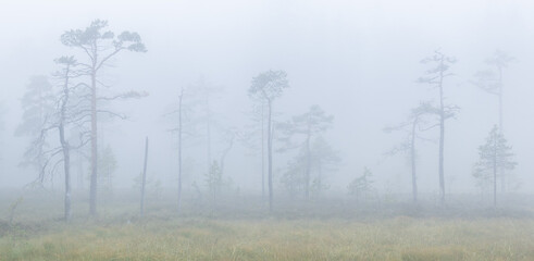 the Nature of Skuleskogen National Park